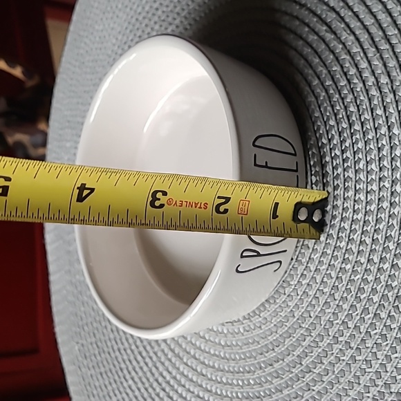 🐈Rae Dunn Cat Dish - Picture 4 of 5